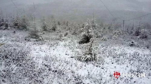 10省将现暴雪或大暴雪,一场全链条的应急大考 10省将现暴雪或大暴雪,一场全链条的应急大考