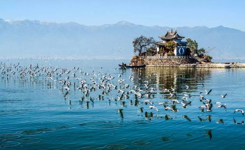 大理天气预报15天，在风花雪月中提前规划你的完美旅程