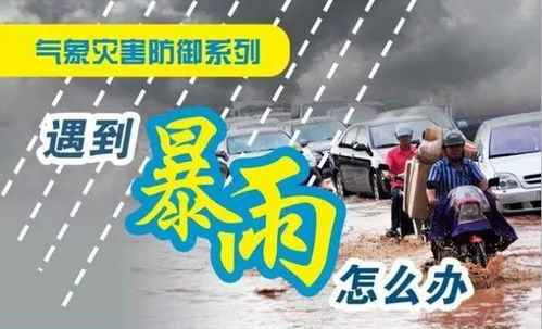 辽宁今晚大到暴雨,多地发布预警,市民需做好防范 辽宁今晚大到暴雨,多地发布预警,市民需做好防范