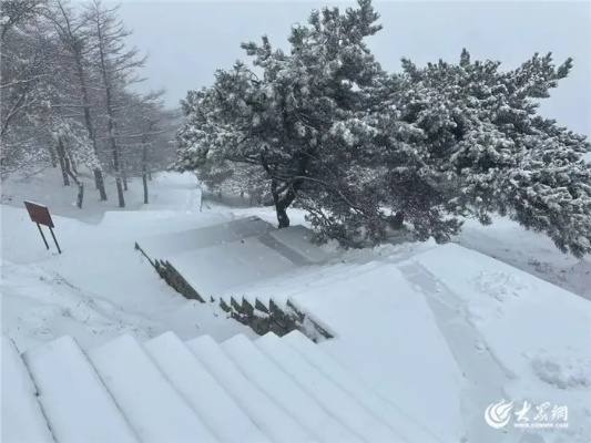 山东暴雪,银装素裹下的考验与温情 山东暴雪,银装素裹下的考验与温情