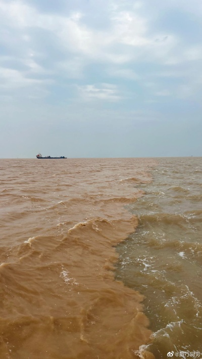 东营天气,黄河入海处的温柔与倔强 东营天气,黄河入海处的温柔与倔强