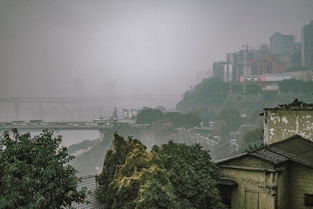 山城雾都的天气密码，在重庆，天气预报是一门玄学